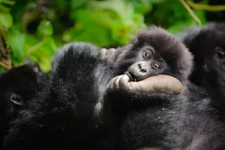 Rwanda
