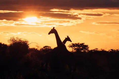Africa